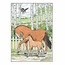 Creative Haven Great Horses Coloring Book