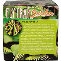 FLYTRAPS