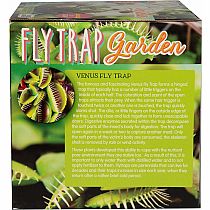 FLYTRAPS