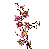 LEGO MAGNOLIA BRANCHES