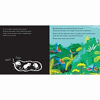 SHINE-A-LIGHT SECRETS OF EARTH  - Carron Brown, Wesley Robins