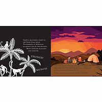 SHINE-A-LIGHT SECRETS OF EARTH  - Carron Brown, Wesley Robins