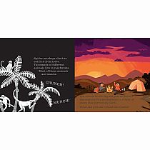 SHINE-A-LIGHT SECRETS OF EARTH  - Carron Brown, Wesley Robins