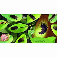 MAGIC WINDOW IN THE NIGHT --Harriet Stone David Partington