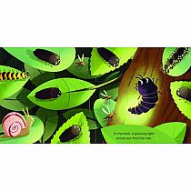 MAGIC WINDOW IN THE NIGHT --Harriet Stone David Partington