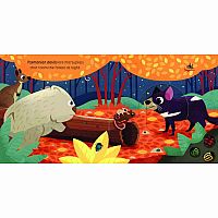 MAGIC WINDOW IN THE NIGHT --Harriet Stone David Partington