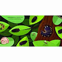 MAGIC WINDOW IN THE NIGHT --Harriet Stone David Partington