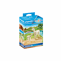 PM Alpaca with Baby