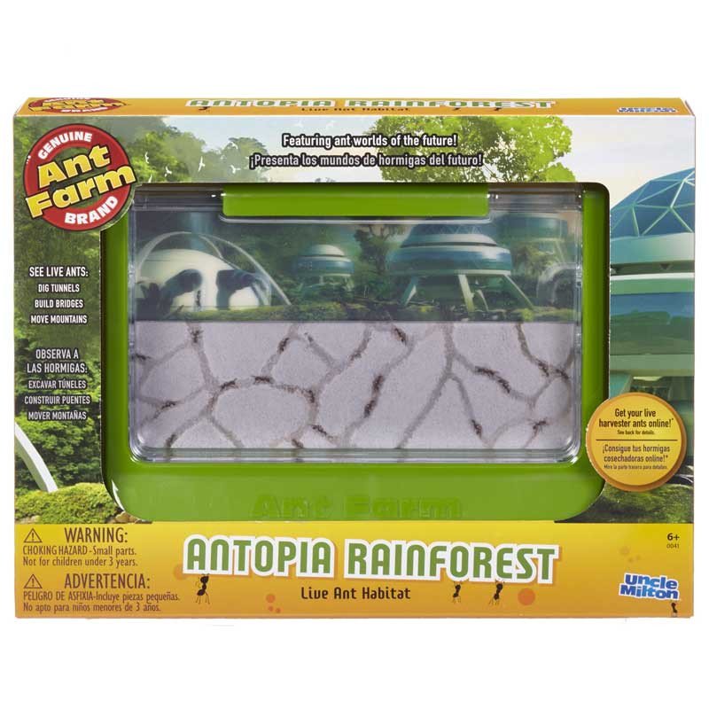 ant tunnels for kids