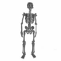 ****SALE PRICE—REG $49.99**** Boneyard Homo Sapien Grey