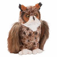 EINSTEIN Great Horned Owl
