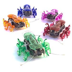 Hexbug fire ant argos discount