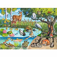 ANIMALS ABOVE AND BELOW 60 PC