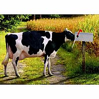 COW IN MAILBOX CARD