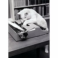 TYPEWRITER CAT BDAY CARD