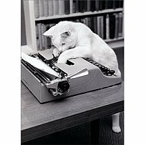 TYPEWRITER CAT BDAY CARD