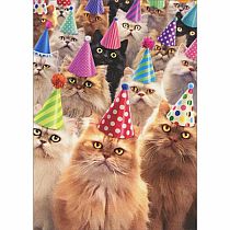CAT PARTY BDAY CARD