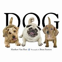 DOG  --MATTHEW VAN FLEET BRIAN STANTON