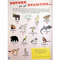 ANIMALS OF THE USA ACTIVITY BK