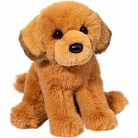 AUGUST GOLDEN RETRIEVER