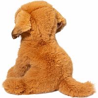 AUGUST GOLDEN RETRIEVER