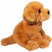 AUGUST GOLDEN RETRIEVER