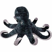 Winky Octopus