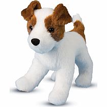 FIESTY JACK RUSSELL TERRIER