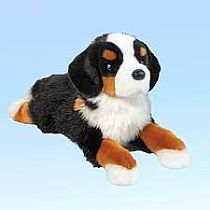 TROOPER BERNESE MOUNTAIN DOG