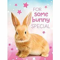 BUNNY GIFT ENCLOSURE