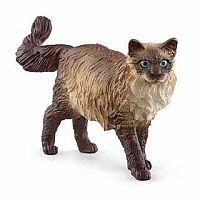 SCHLEICH RAGDOLL CAT