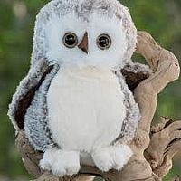 THE GREAT HOOHOO
