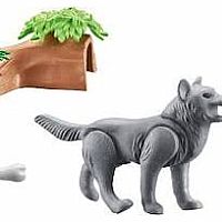 PM Wolf