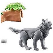 PM Wolf