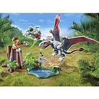 PM DIMORPHODON OBSERVATORY