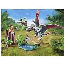 PM DIMORPHODON OBSERVATORY
