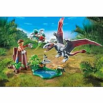 PM DIMORPHODON OBSERVATORY