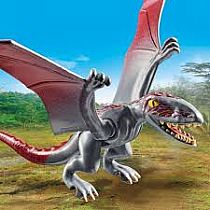 PM DIMORPHODON OBSERVATORY