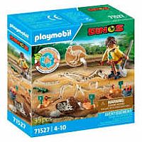 PM ARCHAEOL DIG W DINO SKELETO