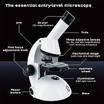 T&K MICROSCOPE