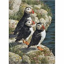FISHERMANS WHARF 500PC PUZ