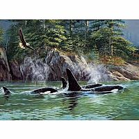 Orcas 1000pc