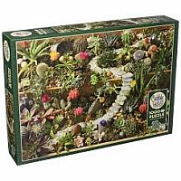 Succulent Garden 1000pc