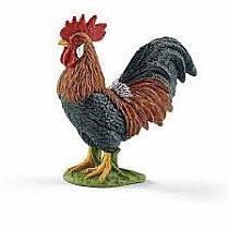 Rooster
