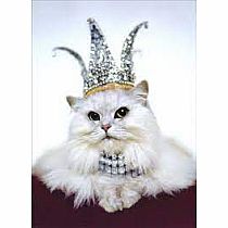 PRINCESS KITTEN CARD