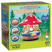 PLANT GROW WOODLAND FOREST