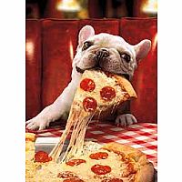 DOG W CHEESY PIZZA CARD