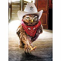 BD COWBOY OWL CARD