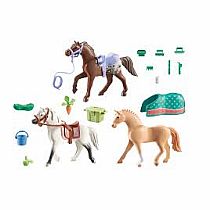 PM HORSE MORGAN QUARTER SHAGYA