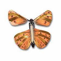 WIND UP BUTTERFLY